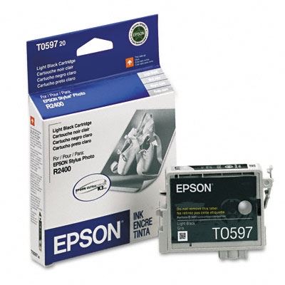 Picture of EPSON Stylus Photo R2400 Light Black Ink Cartridge