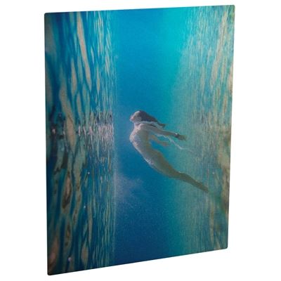 Picture of ChromaLuxe Aluminum Photo Panels Clear Gloss - 8in x 10in (10-Panels)