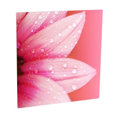 Picture of ChromaLuxe Aluminum Photo Panels Gloss White - 24in x 24in (10-Panels with Dunnage)