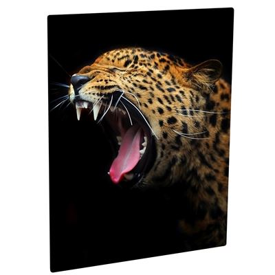 Picture of ChromaLuxe Aluminum Photo Panels Semi-Gloss White - 8in x 10in (10-Panels)