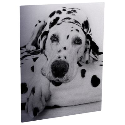 Picture of ChromaLuxe Aluminum Photo Panels Clear Matte - 11in x 14in (10-Panels)