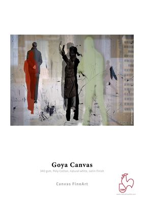 Picture of Hahnemühle Goya Canvas, 340g - 44in x 39ft
