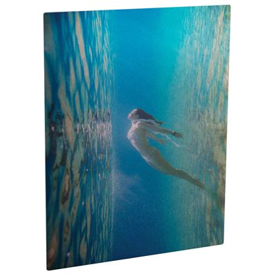 Picture of ChromaLuxe Aluminum Photo Panels Clear Gloss - 30in x 40in (10-Panels with Dunnage)