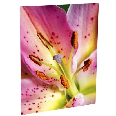Picture of ChromaLuxe Aluminum Photo Panels Matte White - 16in x 20in (10-panels)