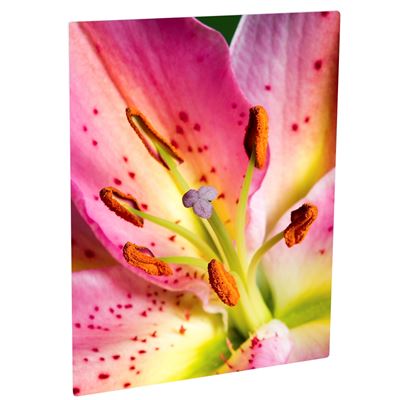 Picture of ChromaLuxe Aluminum Photo Panels Matte White - 49in x 97in (1-Panel), Min. Order & Crating Fee apply