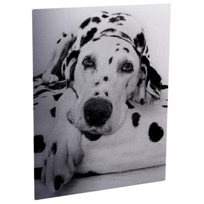 Picture of ChromaLuxe Aluminum Photo Panels Clear Matte - 49in x 73in (1-Panel)